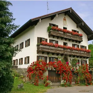 Zum Dammerbauer Appartement